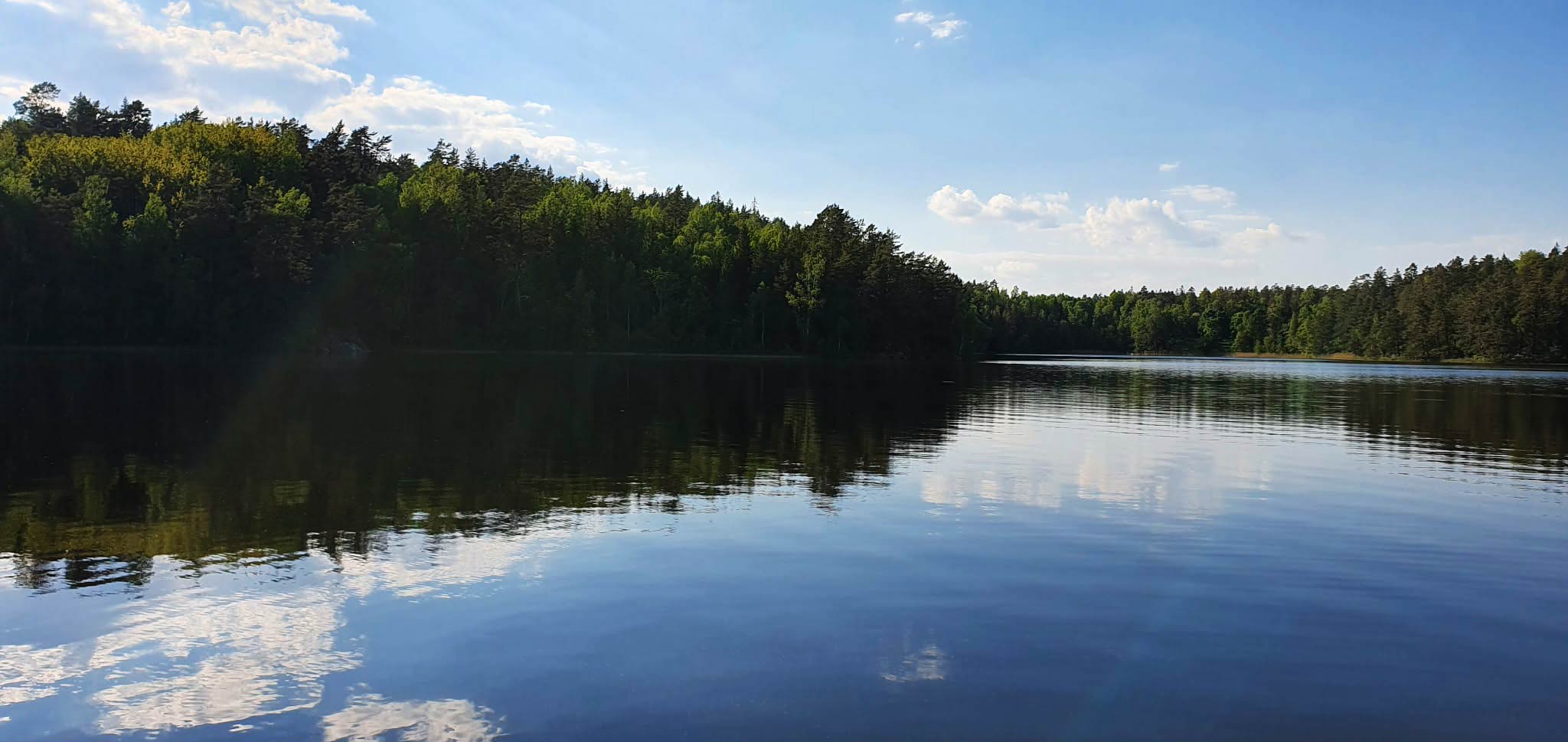 Panoramic view of the lake surrounded by forest